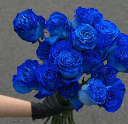 Blue Enchantress Rose