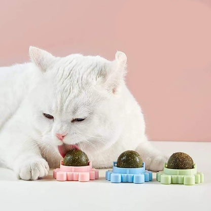 Crab Catnip Ball Toy