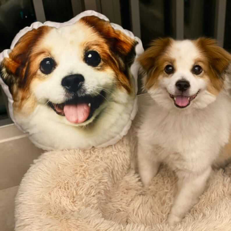 Custom Personalized Pet 3D Pillow