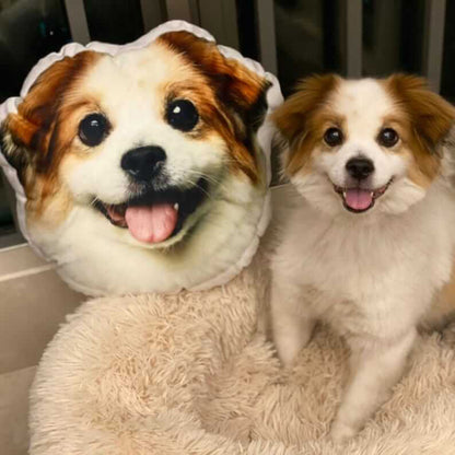 Custom Personalized Pet 3D Pillow